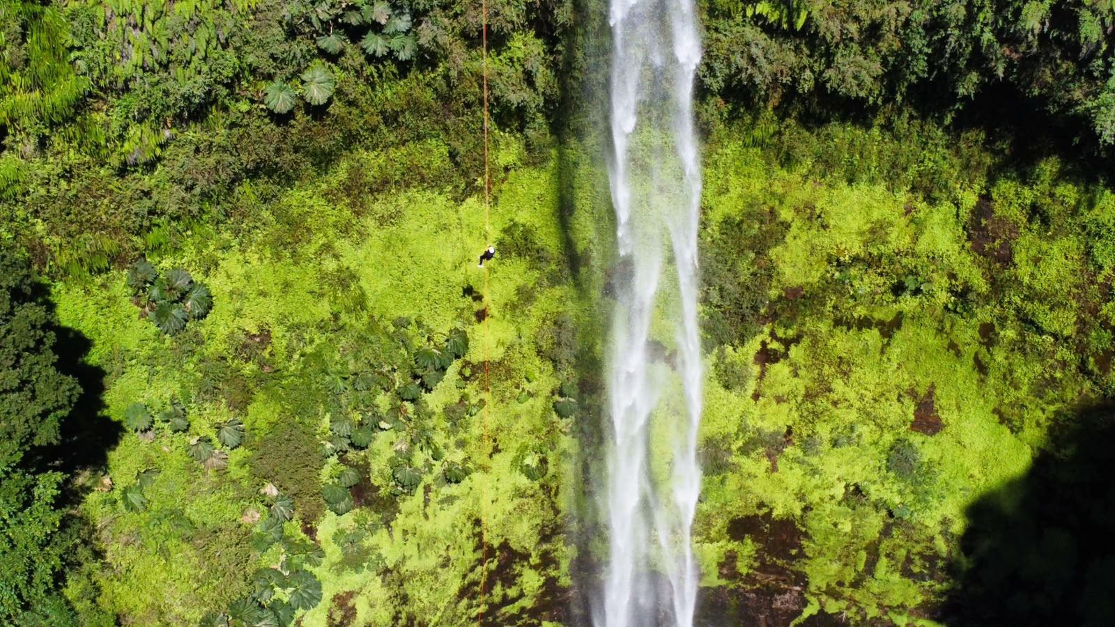 Vista aérea de un rapelista diminuto junto al chorro del Salto El Claro entre el bosque nativo