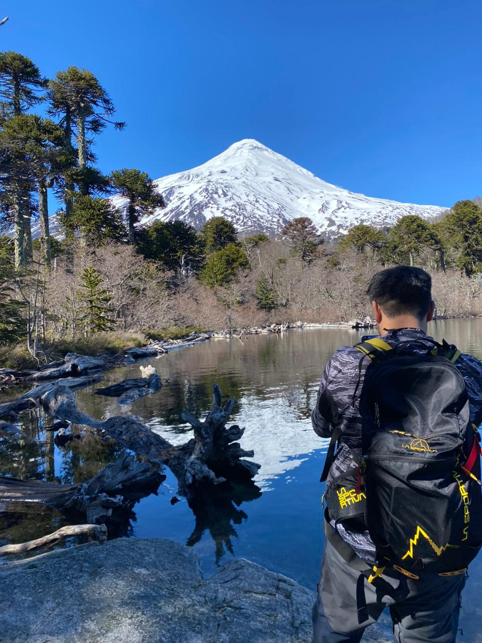 Caminante frente al volcán Lanín reflejado en la laguna, entre araucarias y troncos