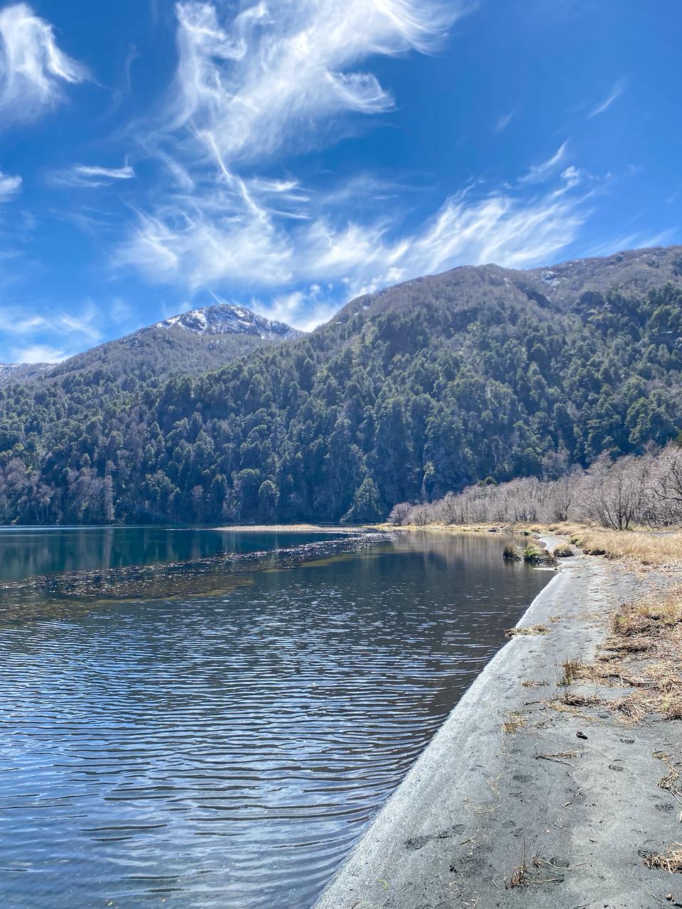Orilla de arena volcánica de la laguna Quillelhue con cerros boscosos al fondo