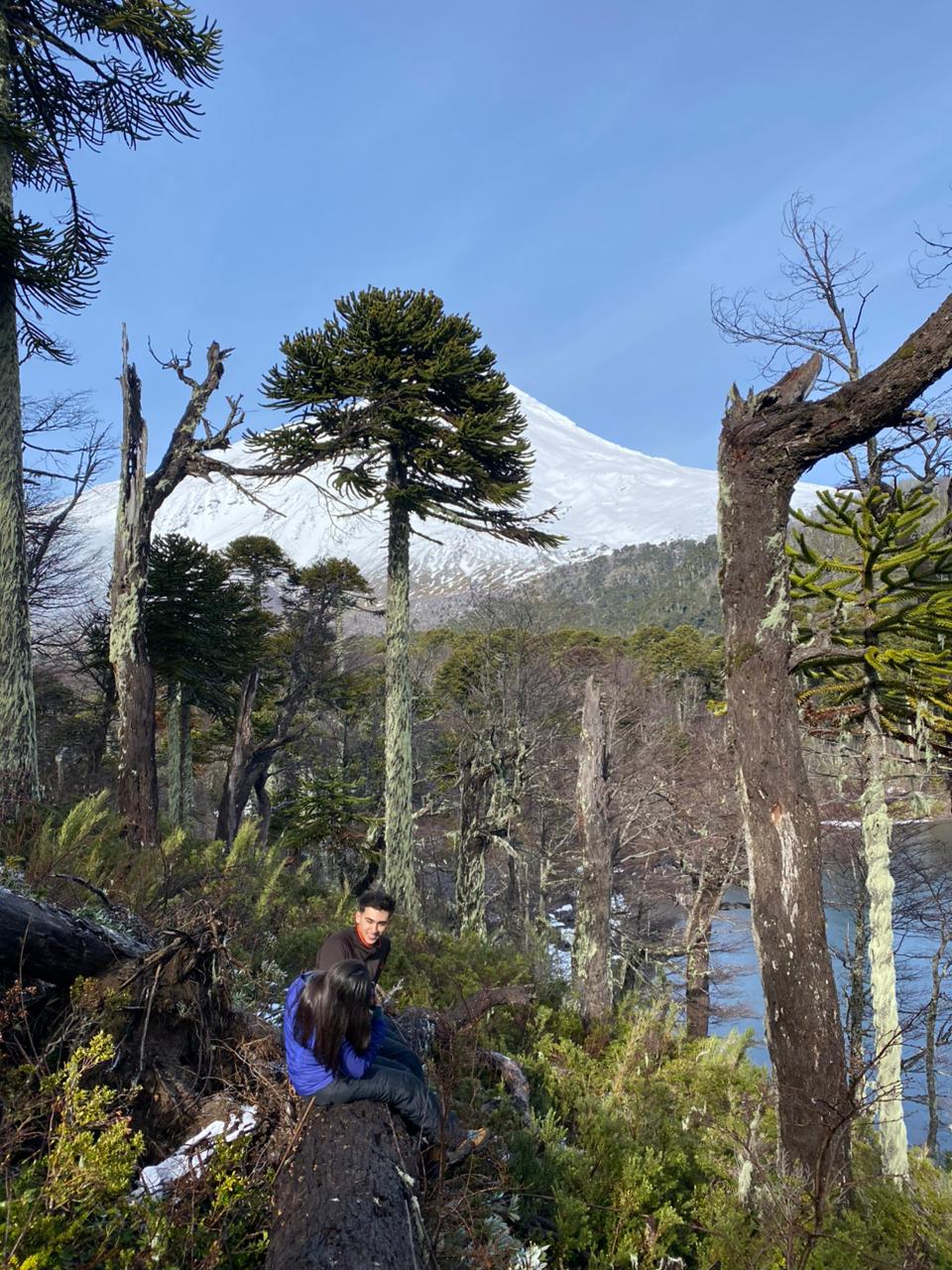 Pareja descansando sobre un tronco con el volcán Lanín y la laguna al fondo